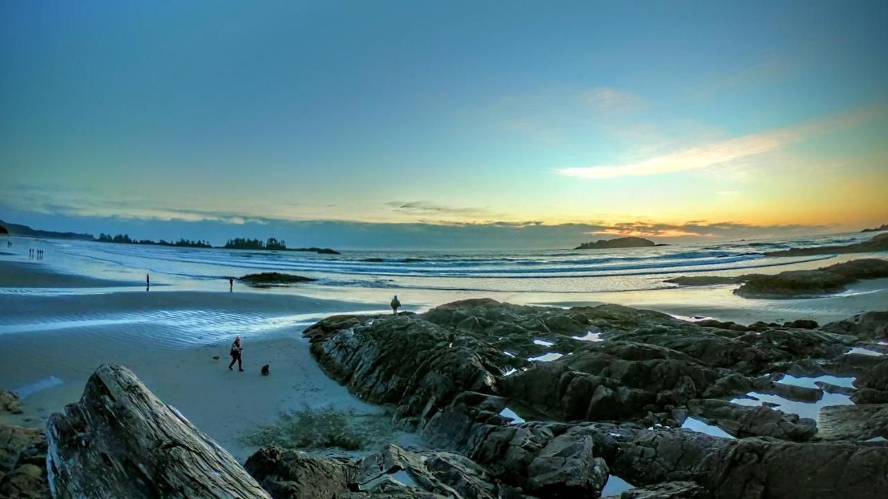 Cobble Wood And Bird Sanctuary Guest Houses Tofino Exteriér fotografie