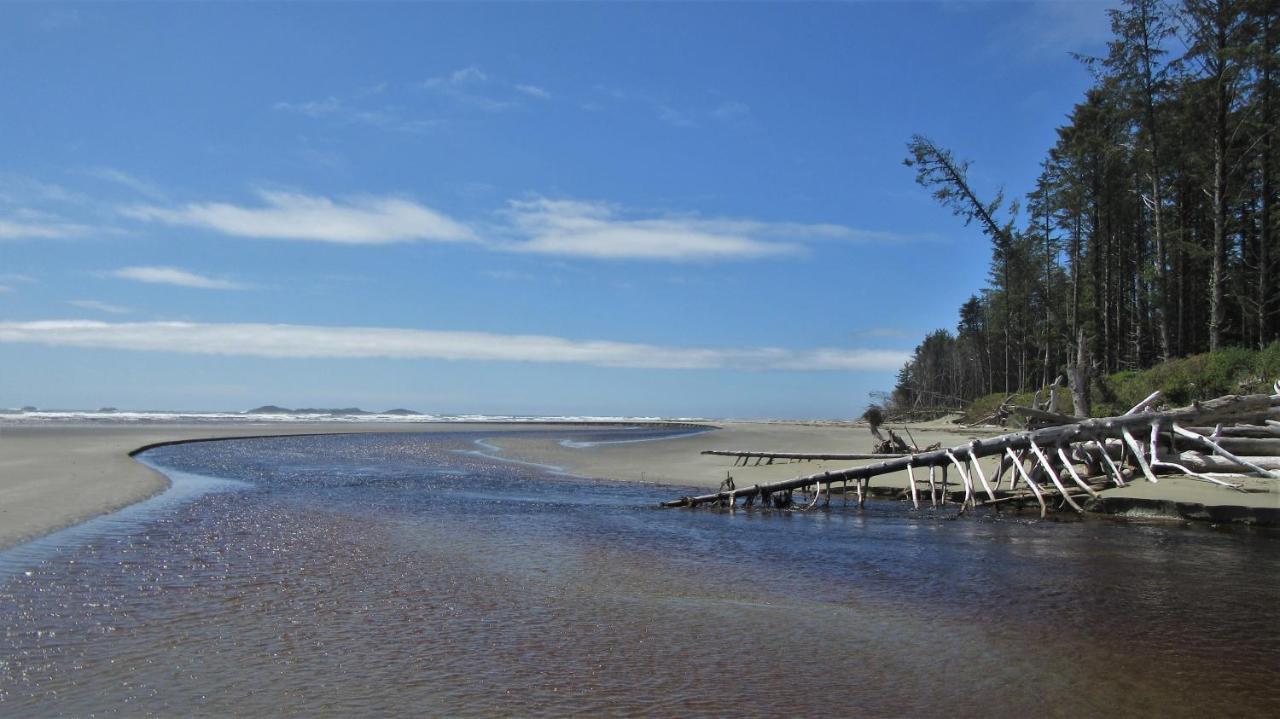 Cobble Wood And Bird Sanctuary Guest Houses Tofino Exteriér fotografie