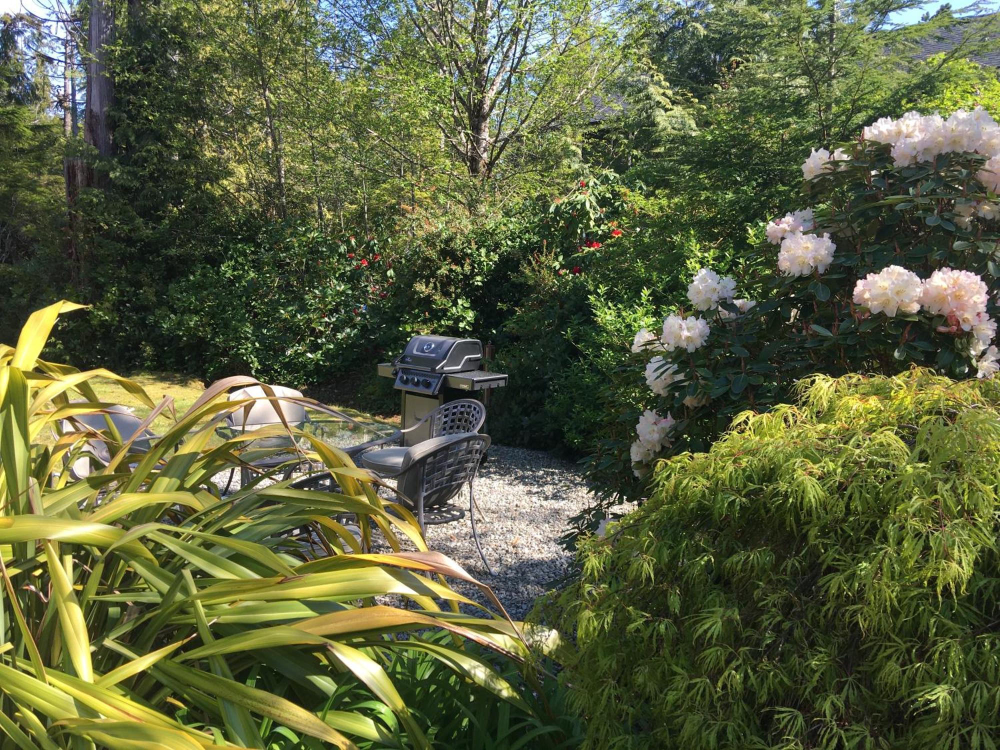 Cobble Wood And Bird Sanctuary Guest Houses Tofino Exteriér fotografie