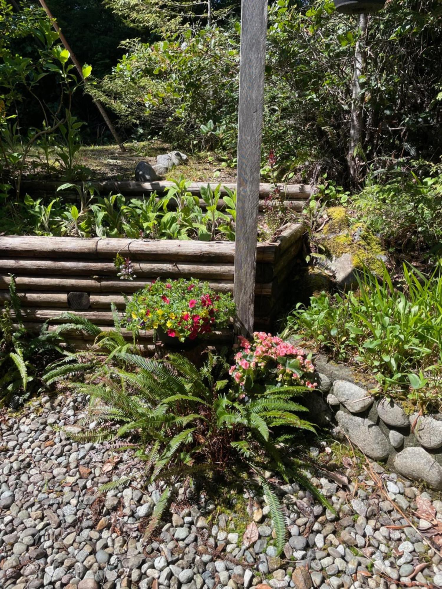 Cobble Wood And Bird Sanctuary Guest Houses Tofino Exteriér fotografie